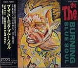 �o�[�j���O�E�u���[�E�\�E��