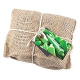 Euvo Design Jute Plant Plain オクラ PJ90016