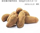 じゃがいも種芋（ジャガイモ）・タワラヨーデル (5kg)
