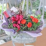 ワイン入り寄せ鉢ミックス バスケット 鉢花 観葉植物 フルボトル ワインセット