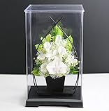 アートフォーシーズン お供え花　クリアケース付き3号サイズ胡蝶蘭カラー プリザーブドフラワー