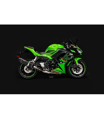 Amazon | ［TRICKSTAR（トリックスター）］Ninja ZX-4R SE/ZX-4RR 政府