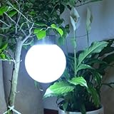 RioRand 屋外ガーデンライト ソーラー 庭 ライト 庭園の屋外照明 ソーラーランプ LEDライト ストリートランプ ステンレススチール (ホワイト)