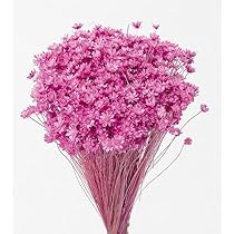 51pGMwhe2zL._AC_UL210_SR210,