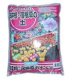 グリーンプラン 培養土 球根・宿根草の土5L