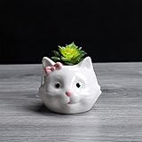 Liebeye 陶器鉢 白 植木鉢 動物形 猫 多肉植物 サボテン鉢 花鉢 容器 陶器 プランター 小型 ミニ 可愛い Cat 8*9.2*9.3cm