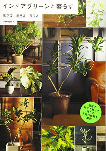 インドアグリーンと暮らす 選び方・飾り方・育て方 インドアグリーンと暮らす 選び方・飾り方・育て方