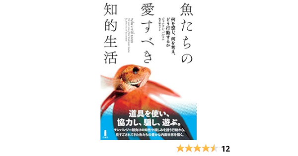 魚たちの愛すべき知的生活 何を感じ 何を考え どう行動するか ジョナサン バルコム 桃井緑美子 本 通販 Amazon