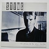 The Dream Of The Blue Turtles [LP]