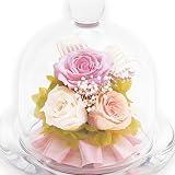liLYS épice プリザーブドフラワー バラ 薔薇 ３輪 誕生日 結婚祝い ギフト お祝い などに 【５色・ ２タイプのガラスドームアレンジ 】 (さくらピンク)