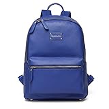 COLORLAND　マザーズリュック　マザーズバッグ　保温保冷ポケット付　スタイリッシュ　防水加工　おむつ替えシート＆透明ポーチ付 (ブルー)