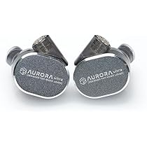 Amazon.co.jp: HiFiGo ROSE Technics Aurora Ultra 1 Planar +