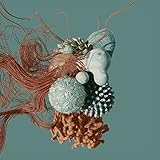 EVOLVƎ. LP [Analog]