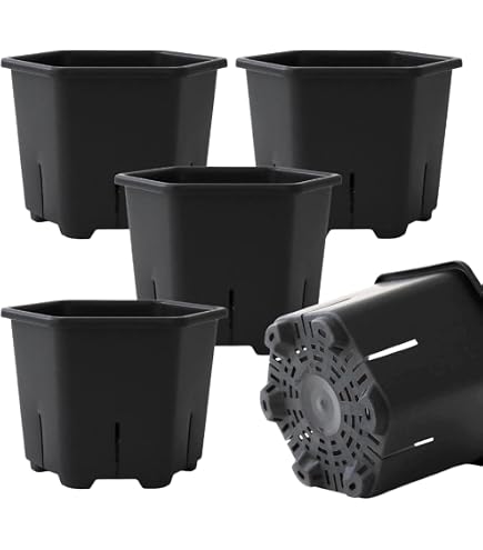 まとめ買い アガベ 多肉植物 プランター 六角形 育成鉢 通気性 Amazon.co.jp: 8個セット アガベ 多肉植物 プランター 六角形 育成鉢