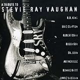 Tribute to Stevie Ray Vaughan
