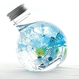 ハーバリウム『花屋が作るファンタジーハーバリウム』プリザーブドフラワー 16時〆即日発送（日曜除く）,スターブルー