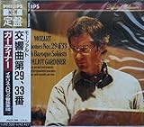 �����ȑ�29�ԃC����