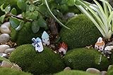 Generic 2 : 5Pcs Mini Resin Church Castle Windmill Shed Cabin House Fairy Garden Miniature Craft Mic