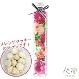 カーネーションのハーバリウム スイーツセット ギフトラッピング無料 メッセージカード付き (マゼンダ)