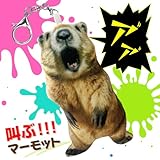 [BEAUTY ORIGIN] 叫ぶマーモット ハッピーキャットぬいぐるみ 猫ミーム りんごキャット ハッピーキャットぬいぐるみ 音声付きキーホルダー セット楽しいハッピーキャットぬいぐるみ 猫のぬいぐるみ (叫ぶマーモット)