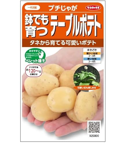 Amazon.co.jp: 種 じゃがいも グラウンドペチカ 500g