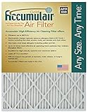 Accumulairゴールド16.5 X 22 X 1実際サイズ) MERV 8エアフィルタ/ Furnaceフィルタ(2パック)