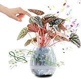 Lantch（ランチ）音楽植木鉢　スマート音楽花瓶　Bluetoothスピーカー 　音楽フラワーポット　植物をタッチして音楽が再生できる　植物ピアノ　usb充電可　底排水口あり　虹色ライト　ナイトライ