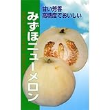 メロン 種 【 みずほニューメロン 】 種子 小袋（約1.8ml）