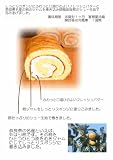 柿のロールケーキ