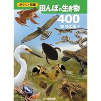 田んぼの生き物図鑑   増補改訂新版/山と渓谷社/内山りゅう（単行本（ソフトカバー）） 田んぼの生き物図鑑 増補改訂新版 (ヤマケイ情報箱) | 内山