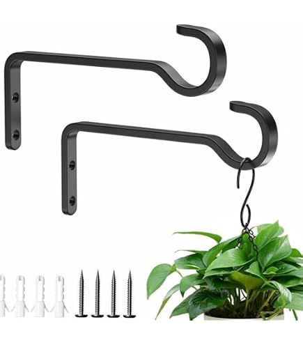 Amazon.co.jp: 吊り植物ブラケット アイアンウォールフック ガーデン