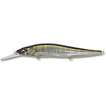 メガバス　ワンテン　sp-c 有り　セット　美品　（2） 2025年最新】Yahoo!オークション -メガバス ワンテン 限定の中古