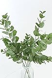COVENT GARDEN（コベントガーデン） ユーカリ 造花 人工観葉植物 TM-23 【まとめ買い×12セット】