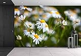 wall26 – 自己粘着壁紙大壁壁画シリーズ 100"x144" WMR-WP-X-C006-100x24x6