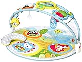 (スキップホップ) Skip Hop Explore & More Toy Activity Gym 玩具アクティビティジム (並行輸入品) langlang