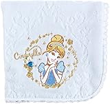 アイアップ タオルハンカチ どっとポーチ ディズニー シンデレラAG