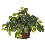 Nearly Natural 6704 Pothos with Coiled Rope Decorative Silk Plant, Green by Nearly Natural
