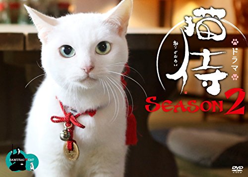 ドラマ「猫侍 SEASON2」DVD-BOX | 高橋かおり | オリコンニュース