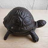 Fallen Fruits:キーケース（かめ）[物置、家、自転車のカギ、アクセサリー入れなどに] ノーブランド品