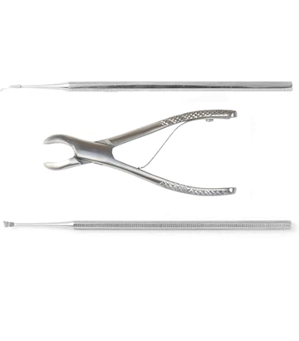 ペット用歯石取りペンチ 約15cm と　スケーラー 楽天市場】犬 スケーラー 歯石取り ペンチ 器具 ペット用 デンタルケア