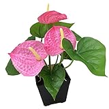MIRAIS 観葉植物 造花 リアルプラント 小型 人工 部屋 リアル 会社 緑 おしゃれ インテリア フェイクグリーン (ピンク) MR-HONGZ-PK