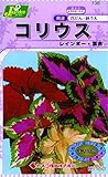 カネコ種苗 草花タネ738 コリウス レインボー 混合 10袋セット