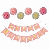 パステルピンクパーティー装飾とゴールドFoiled Happy誕生日ホオジロ13フラグバナーwith 6点セットピンク、ベビーピンク、クリーム紙ポンポンペーパーフラワーボール(ピンク)