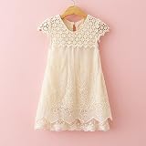 夏の児童のファッションレースの王女のワンピースの子供のパーティOワンピース