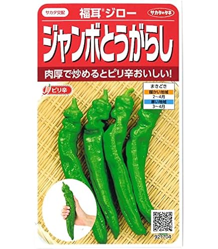 Amazon.co.jp: 辛 とうがらし 種子 牛角大王 20粒 トウガラシ （中国大