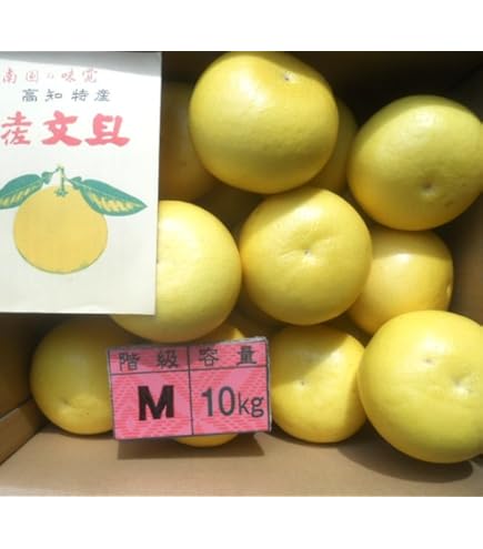 Amazon.co.jp: 【大玉サイズ】【ご家庭用】高知特産 土佐文旦 3L～4L