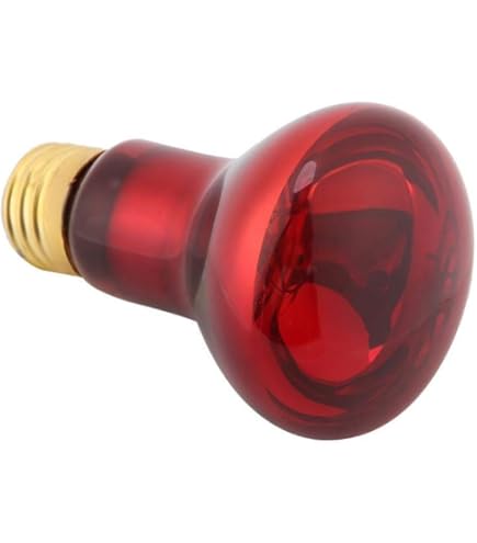 ♡COOSPIDER爬虫類 ヒーター 爬虫類 ライト 爬虫類用保温ランプ 赤外線 Amazon | COOSPIDER爬虫類 ヒーター 爬虫類 ライト 爬虫類用の