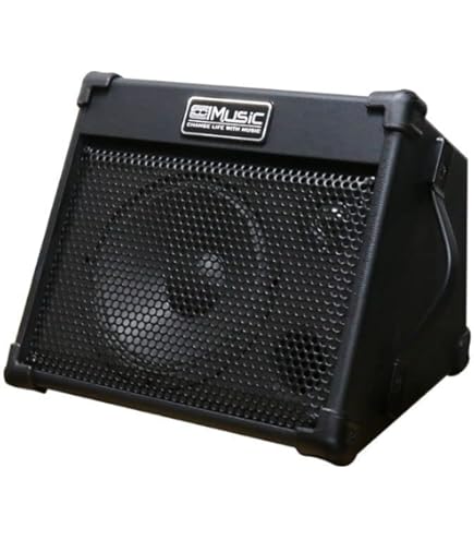 Amazon | Fender アコースティックギターアンプ Acoustic SFX II, 100V 
