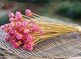 Dasukie 花束 造花 撮影小道具 生け花 店舗装飾用