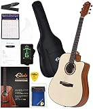 【初心者セット9点】ELVISエルビス Master 1（マスター1）アコースティック ギター【スプルース材トップ×マホガニー材】41インチ（標準サイズ）【付属品９点セット：国内保証書・チューナー・厳選11曲の教則本・ピックガード・コードチャート・ピック・ストラップ・ポリシングクロース・純正ギグバッグ】